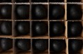 B37A0279web.JPG