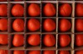 B37A0302web.JPG